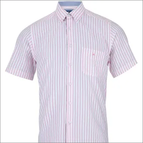 Dg's Pink and White Stripe SS^