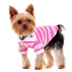 PuppyPAWer Stripe Dog Polo by Dogo - Pink